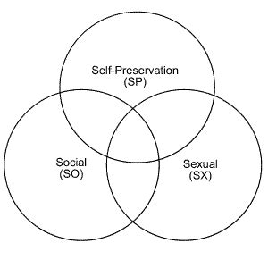 enneagram instinctual variants|Instinctual Variants .